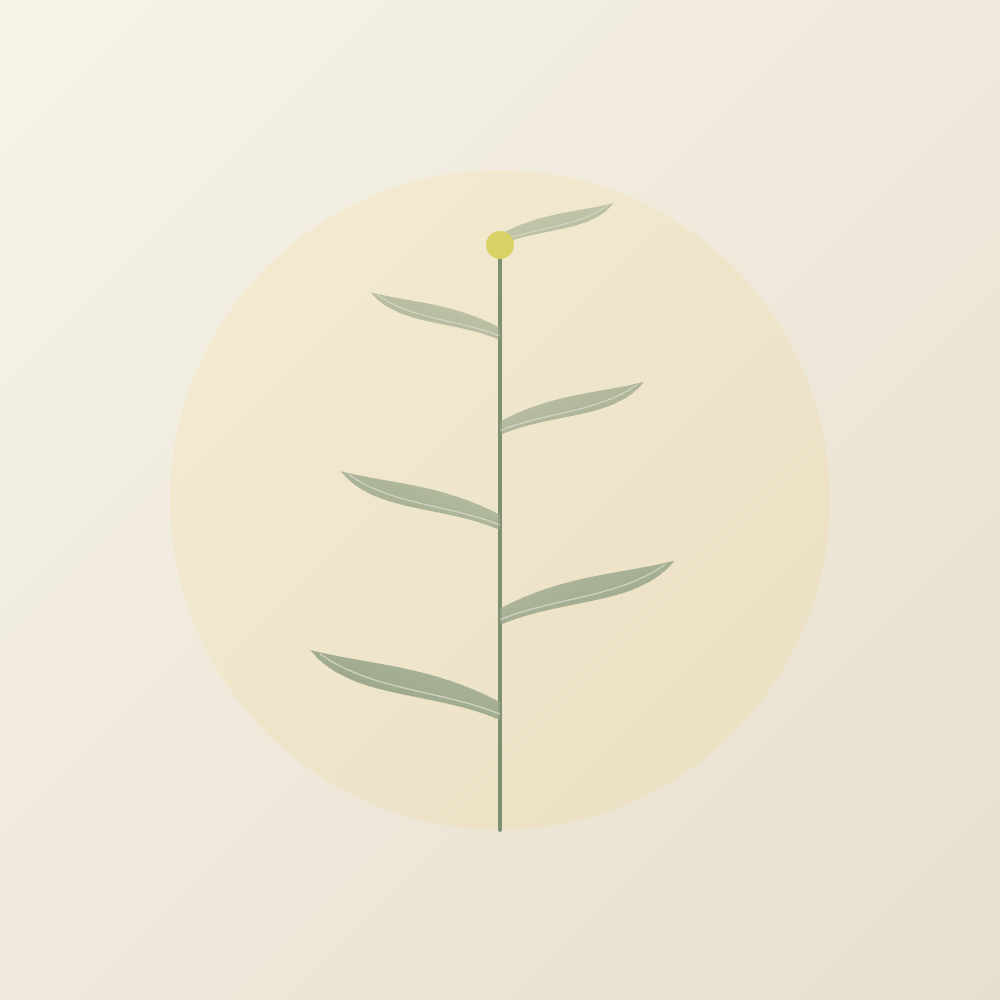 Nidar Illustration Leaf